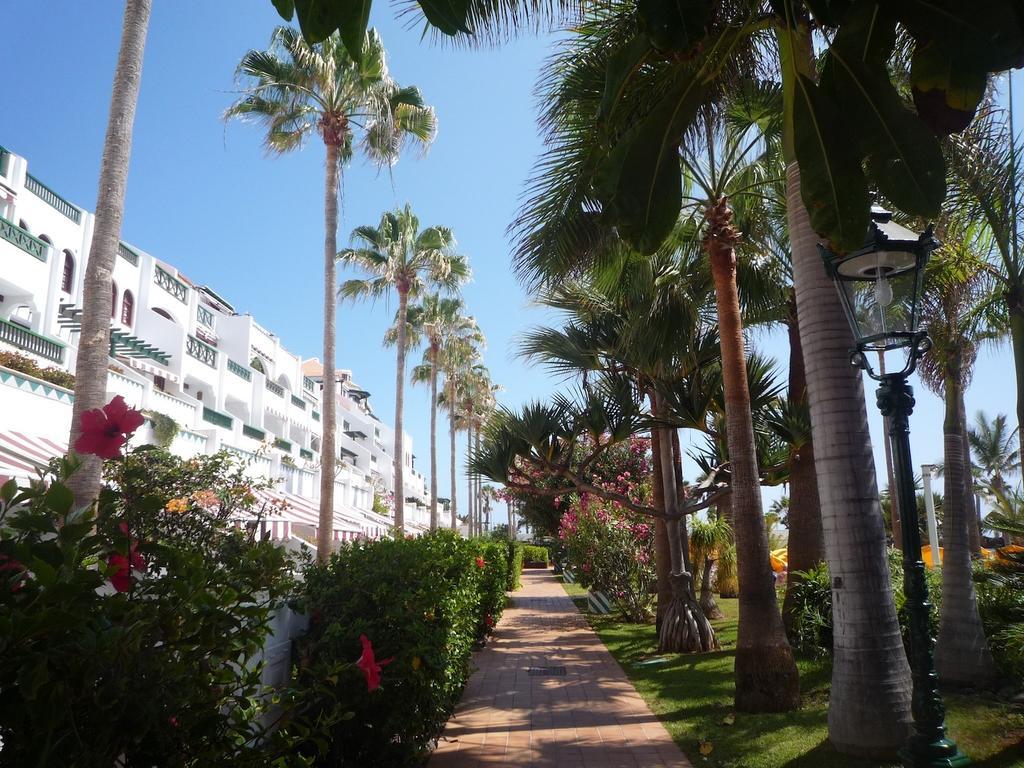 4 Santiago Playa Tenerife Estudio Плая де лас Америкас Стая снимка